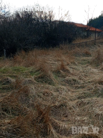 Имот къща в село Гълъбник с площ 980кв, снимка 11 - Парцели - 53349875