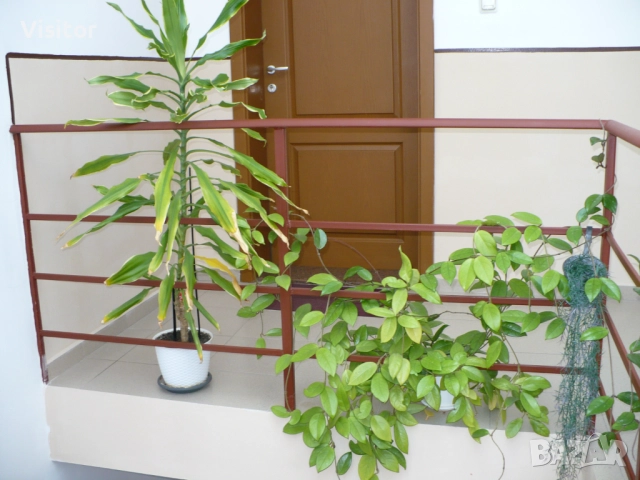 Panasonic Lumix DMC-LZ7   7.2МРх, снимка 15 - Фотоапарати - 52737242