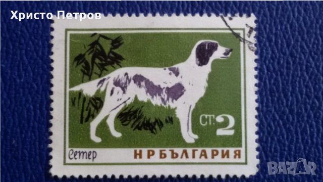 БЪЛГАРИЯ 1964 - ФАУНА, ПОРОДИ КУЧЕТА, снимка 1