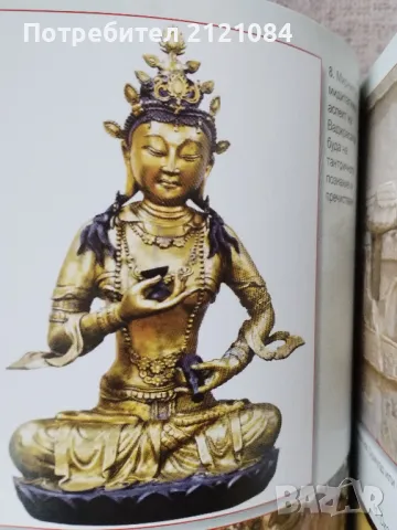 ДНК на боговете / Крис Х. Харди, снимка 4 - Специализирана литература - 49148386