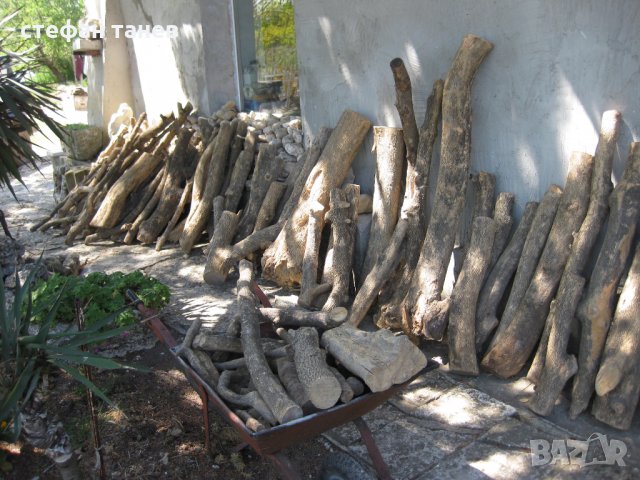 Чемшир - дървен материал за украсна резба, снимка 8 - Антикварни и старинни предмети - 18621658