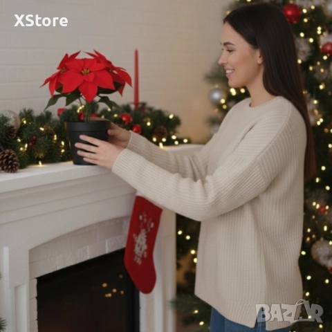 Вечна празнична Коледна звезда – реалистична украса, снимка 6 - Декорация за дома - 52518259