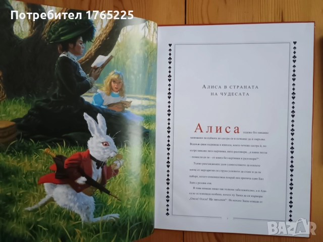 Две детски книжки за Алиса, снимка 2 - Детски книжки - 52596260