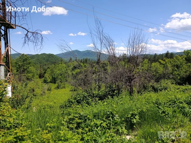 Имот в Троянски балкан, в спокойна и красива местност, снимка 4 - Парцели - 50514963