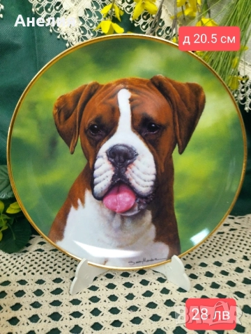 Колекционерски чинии Боксер, снимка 8 - Декорация за дома - 51883321