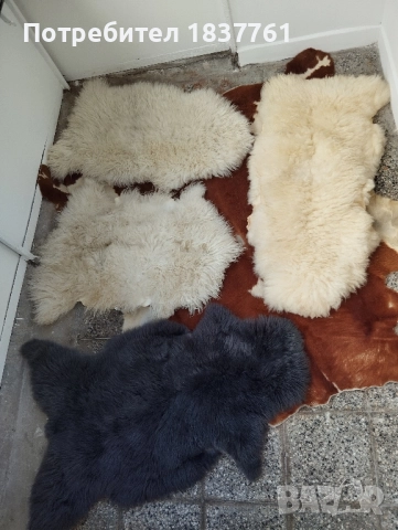 Естествени кожи 