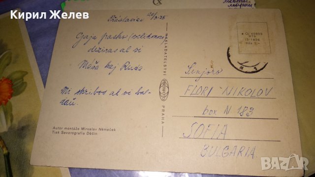 ЛОТ 3 СТАРИ ФЛОРАЛНИ ПРАЗНИЧНИ ПОЩЕНСКИ КАРТИЧКИ НРБ СССР 6707, снимка 8 - Филателия - 38729858