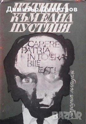 Пътища към една пустиня Ивайла Вълкова