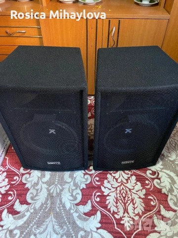 Тонколони VONYX 10 инчови 500 Watta, снимка 3 - Тонколони - 53052169