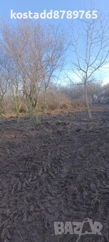 Парцел в село Звездица, снимка 5 - Парцели - 49125193