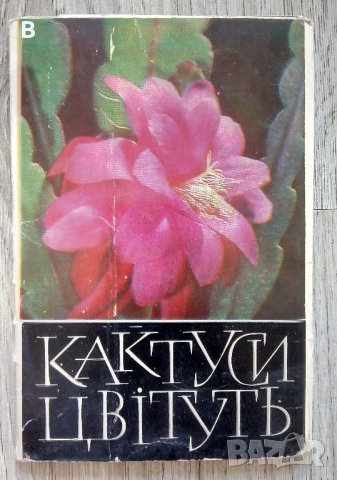 Картички от соца - Киев и други, снимка 12 - Други - 37347934