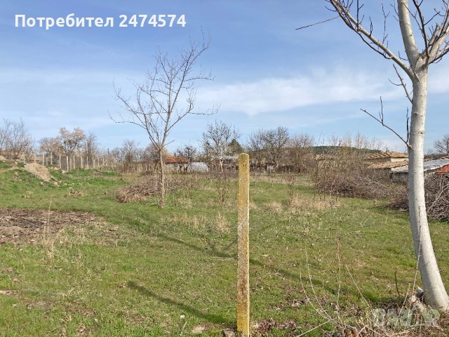 Продавам ПАРЦЕЛ за строеж на къща или градина в с. Енево (общ. Нови пазар), снимка 6 - Парцели - 43232647