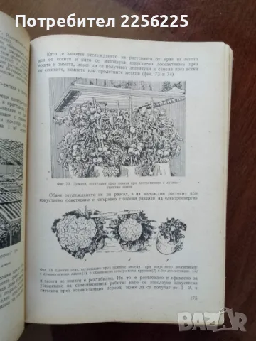 Кратък курс по физиология на растенията , снимка 5 - Специализирана литература - 50065009