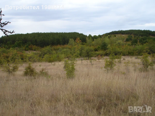 Земеделска земя 10,5 декара, 9 категория, снимка 6 - Земеделска земя - 50714759