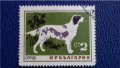 БЪЛГАРИЯ 1964 - ФАУНА, ПОРОДИ КУЧЕТА, снимка 1 - Филателия - 33458046