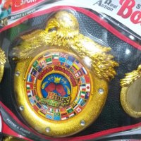 Шампионски пояс по бокс - титла, колан, снимка 1 - Други - 38697470