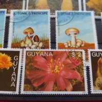 Пощенски марки серия Растения, Гъби стари редки за колекция декорация - 22024, снимка 3 - Филателия - 36641512