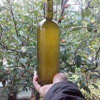 Домашен Ябълков оцет в стъклени бутилки, снимка 6 - Домашни продукти - 26615498