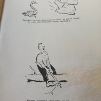 Горско стопанство - списание 1965 година, снимка 4 - Специализирана литература - 43550749