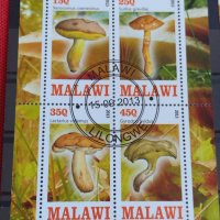 Пощенски марки чиста комплектна серия ГЪБИ 2013г. поща Малави за колекция 29802, снимка 2 - Филателия - 37689347