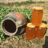 Натурален пчелен мед в тенекия 25кг, Екстра качество, Естествен Имуностимулант, снимка 5 - Пчелни продукти - 26292207