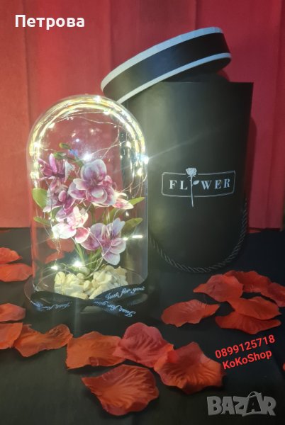 Вечна орхидея в луксозна кутия/орхидея с LED светлини , снимка 1