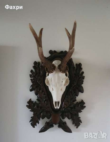 Стойка за трофей сръндак, снимка 1