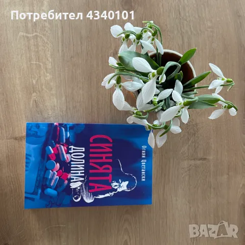 Книга "Синята долина", снимка 2 - Художествена литература - 48469620