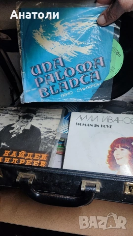 Грамофонни плочи малки (100 бр.)