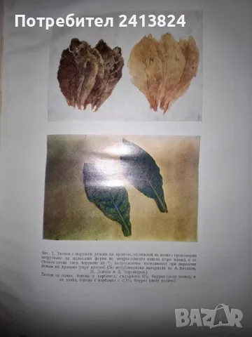 Почвено - климатично райониране на глaвните полски култури, снимка 4 - Художествена литература - 49377846