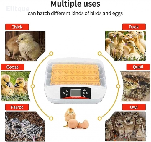 Инкубатор за яйца – 42 яйца с LED дисплей и автоматичен контрол, снимка 4 - Друга електроника - 52716544