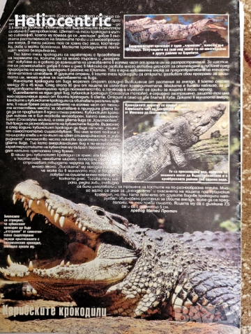 Обичам те животно,год 6/1999 г., снимка 2 - Специализирана литература - 51904924