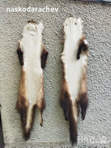 Професионално обработена от майстор кожар кожа от белка, бялка, снимка 11 - Декорация за дома - 43792723