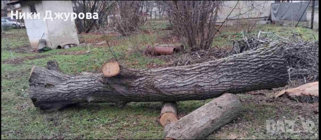 Орехов материал