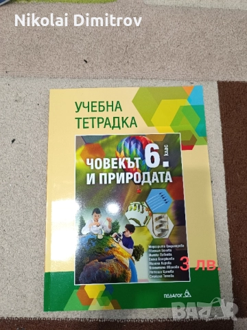 Помагала за шести клас, снимка 5 - Учебници, учебни тетрадки - 51092286