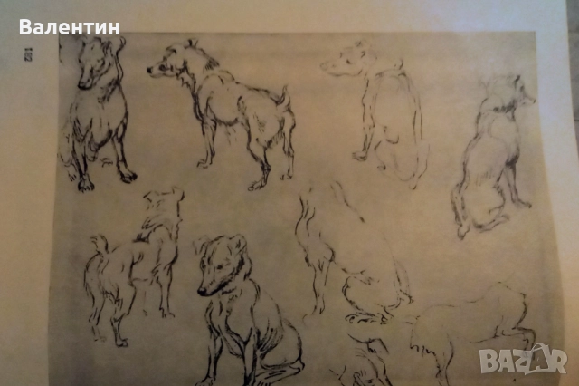 Пластична анатомия на човека и на четириногите животни и птици на руски език, снимка 10 - Специализирана литература - 52045113