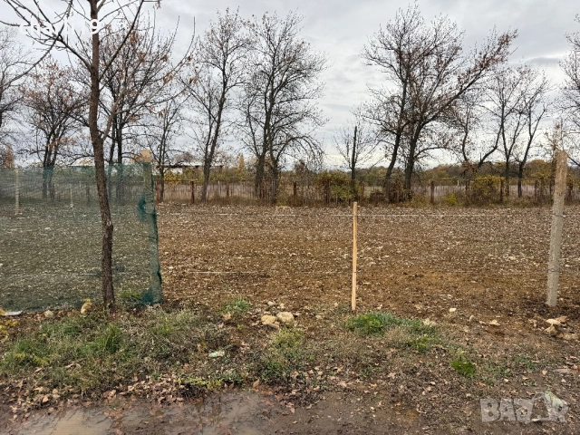 От собственик парцел 1 декар в Ботунец, снимка 5 - Парцели - 52428886