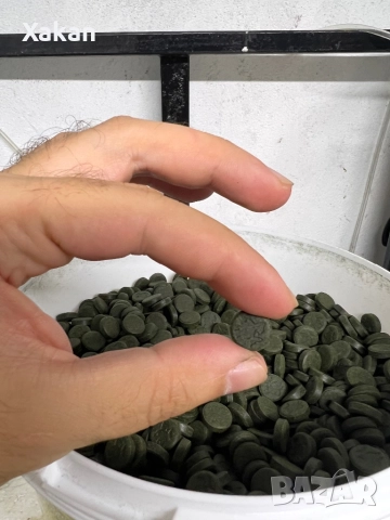 Tropical spirulina super forte, снимка 3 - Други - 32723009