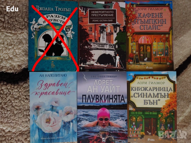 Книги на Даниел Стийл, Фицджералд, Павоун, Агата Кристи, Майкълидис, Конъли, Хейли