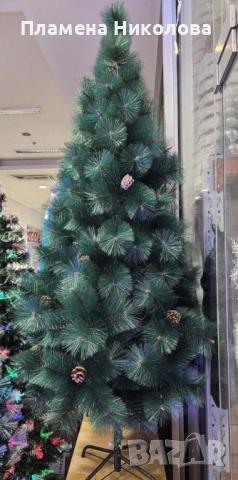 Елха естествено зелена с шишарки