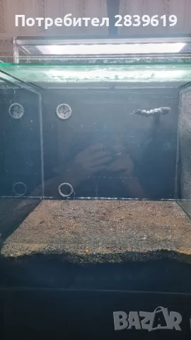 Аквариум с размери 40х40х40 с вграден съмп(филтрираща сустема), снимка 1