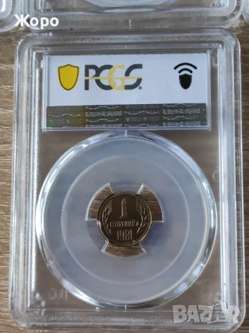 Пълен сет 1981 година България - Мат-гланц (пруф), снимка 9 - Нумизматика и бонистика - 48082608