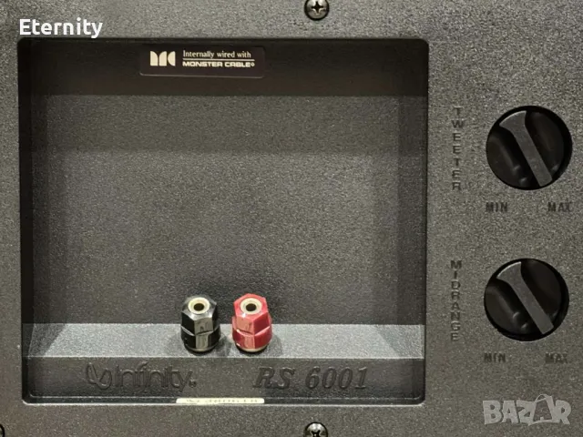 Infinity RS 6001 / Тонколони, снимка 13 - Тонколони - 49262345