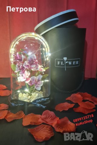 Вечна орхидея в луксозна кутия/орхидея с LED светлини , снимка 1 - Декорация за дома - 44077854