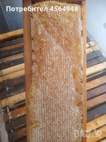 Пчелен мед от Странджа 7,00 лева за 1 килограм в буркан , снимка 3 - За пчели - 51369721