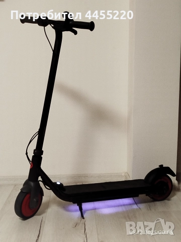 Електрическа тротинетка Ninebot by Segway C20, снимка 2 - Други спортове - 52666376