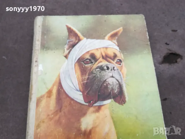 ABC DER HUNDEKRANKHEITEN 0302251439, снимка 2 - Специализирана литература - 48942670