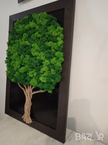 Картина от Скандинавски мъх , снимка 8 - Декорация за дома - 48915651