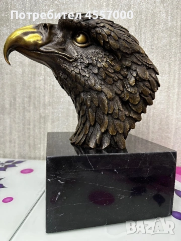 Главата на Орел, като добавих и теглото от 6 кг, за да бъде обявата напълно точна: