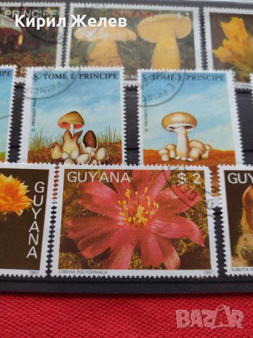 Пощенски марки серия Растения, Гъби стари редки за колекция декорация - 22024, снимка 3 - Филателия - 36641512